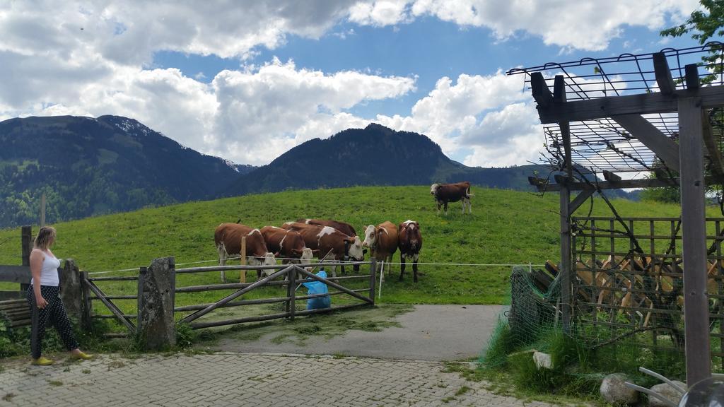Appartements Berger Kitzbuehel ภายนอก รูปภาพ